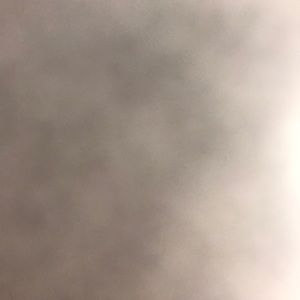 Meet your Posher, Reese